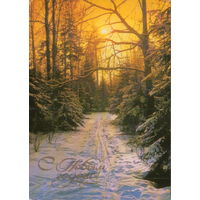 Чистая открытка 1985г. "С Новым годом! Зимний лес" фото Г. Костенко