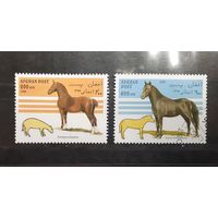Афганистан. 1996 год. Фауна. Лошади (109)