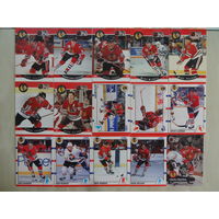 Хоккейные карточки.НХЛ.Chicago Blackhawks-83 карт