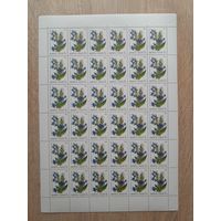 Лист 1988 г. Цветы широколиственных лесов . 5 к.