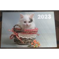 Котёнок