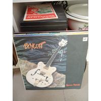 Виниловая пластинка