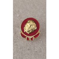 Значек знак Демитров,200 лотов с 1 рубля!!!