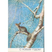 Чистая открытка 1988г. "С Новым годом! Белка" худ. А. Исаков