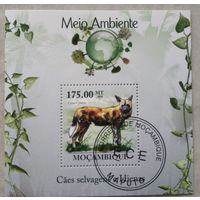 ЛИСТ ФАУНА животные  СТО