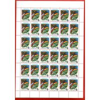 Россия.1992, 17 марта. Совместный российско-германский космический полет (17-25.03).ЧИСТЫЙ ЛИСТ**.