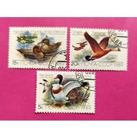 СССР. Утки. ( 3 марки ) 1989 года. 8-7.
