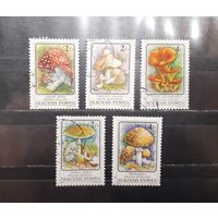 Венгрия. 1986 год. Флора. Грибы (973)