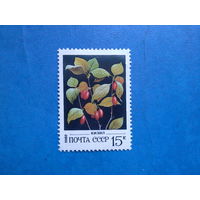 Ссср 1982. Кизил.