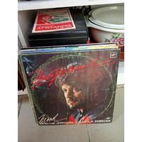 Виниловая пластинка