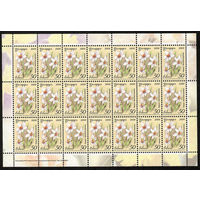 Беларусь. 2008. Стандарт.  Нарцисс (50р) (з.367-2008) Лист