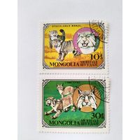 Монголия  1979 2 м