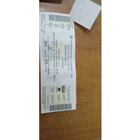 Входной билет на хоккей КХЛ Динамо Мн-Торпедо ,2011г