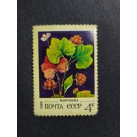 1982 СССР. Дикие ягоды. Морошка обыкновенная