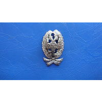 Знак кокарда чиновника                                                                                                                     (5578)