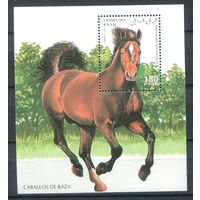 Западная Сахара - 1995г. - Лошади (1) - 1 блок - полная серия, MNH. #O-Se-Z-2-45