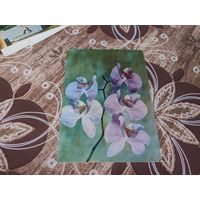 Открытка,цветы,1973