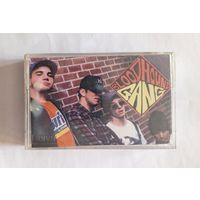 Аудиокассета BlooDHound Gang