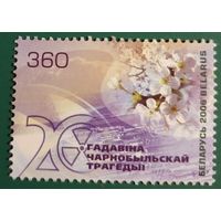 2006 20 лет Чернобыльской трагедии Беларусь