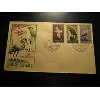 Испанская Сахара 1959 КПД, Птицы