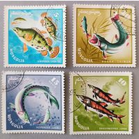 Промысловая рыба. Монголия,1965