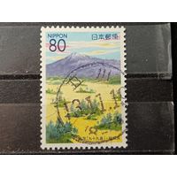 Япония, 2000. Гора Тёкай, лагуны