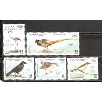 ФФ1 Сахара 1990 Птицы