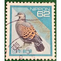 Япония 1992. Большая горлица