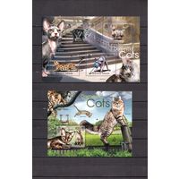 Соломоновы острова 2012 Фауна домашние кошки - 1 лист + 1 блок MNH**