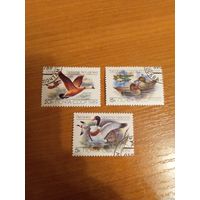 1989 СССР Загорский 6017-6019 гашеная полная MNH** фауна птицы (c-12)