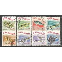 Румыния. Рыбы. 1964г. Mi#2280-87. Серия.
