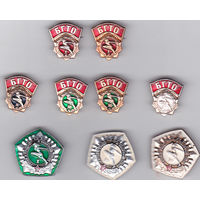 ГТО и БГТО (варианты).