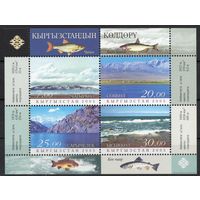 Киргизия 2005. Фауна. Рыбы. Озера. Ландшафты. Горы. 1 блок (164)