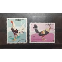Куба. 1981 год. Фауна. Птицы. Петухи (400)