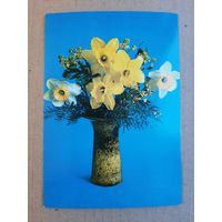 Чистая Открытка 8 Марта Зеленова 1982 г.