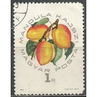 Венгрия. Фрукты. Абрикосы. 1964г. Mi#2046.