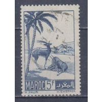 [1607] Французские колонии. Марокко 1939. Фауна.Антилопы.5 фр. Гашеная марка.