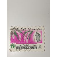 Малайзия, 1965 год Султана Селангора, Султана