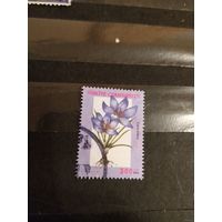 2000 Турция флора цветы дорогая (2-15)