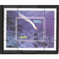 ФФ2 Танзания 1998 Змея гаш