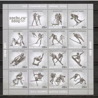 ФФ3 Россия 2013 Ол. игры