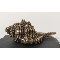 Статуэтка Ракушка Бронза