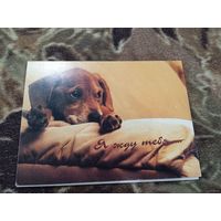 Я жду тебя. Адкрытае пiсьмо. Двойная. Чистая.