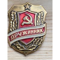 ДРУЖИННИК