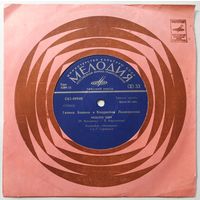 ЕР Галина БОВИНА и Владислав ЛЫНКОВСКИЙ - Желтый Лист (1978)