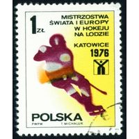 Чемпионат мира и Европы по хоккею Польша 1976 год 1 марка