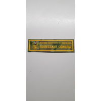 Нашивка военно-патриотический клуб Полесские соколы пограничная служба Беларусь