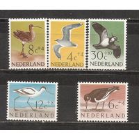 ФФ1 Нидерланды 1961 Птицы
