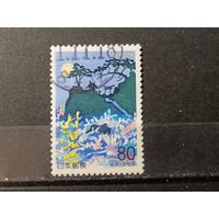 Япония, 1999. Сосны на скалистом берегу