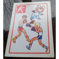 Бокс Олимпийский медведь